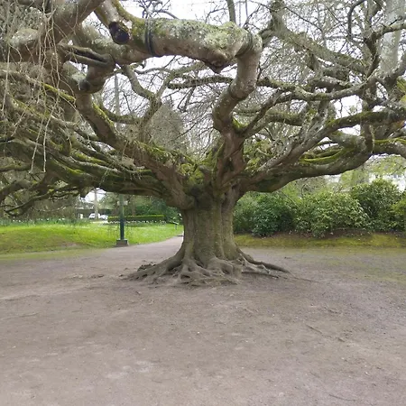 Appartamento Le Mont'aide - Bayeux - 3 Lits - Accessible Pmr