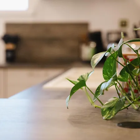 Appartamento Le Mont'aide - Bayeux - 3 Lits - Accessible Pmr *