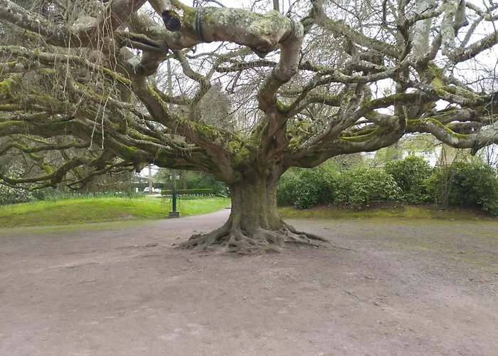 Daire Le Mont'aide - Bayeux - 3 Lits - Accessible Pmr